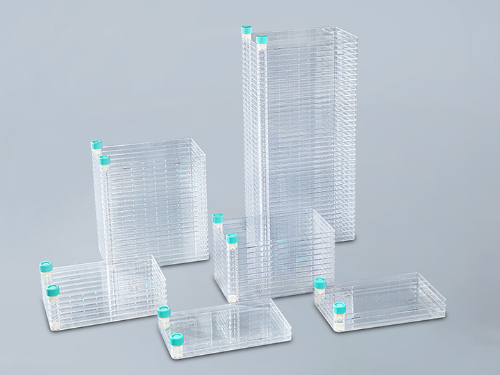 PP电子(中国)官方网站