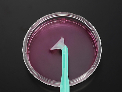 可自由旋转刀片，能刮取各个角落，收获细胞