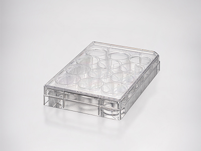 板底平整、孔径大小一致，板体均匀、透明，易于显微镜观察