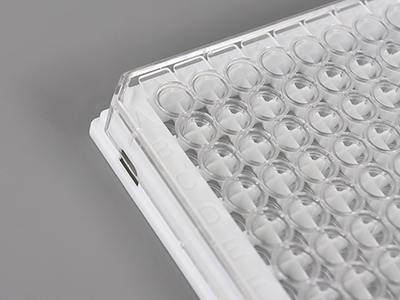 清晰的字母数字标号，便于区分识别，方便记录